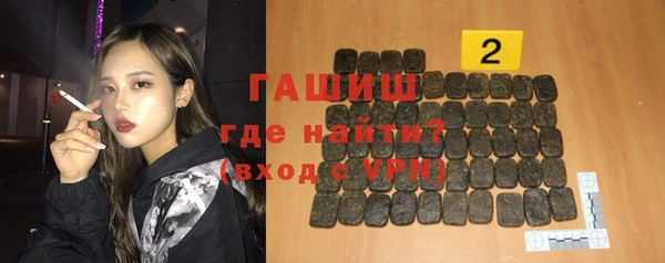 индика Пестово