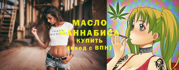 индика Пестово